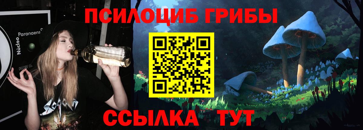 Псилоцибиновые грибы прущие грибы Сургут