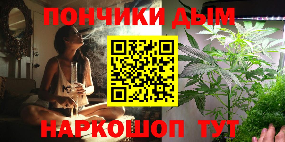 Бошки марихуана семена  Канабис семена  Сургут  Вход с VPN 